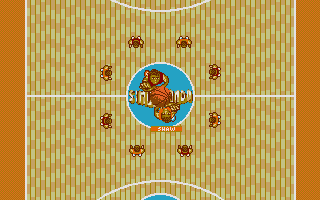 Basket Manager, The (1990)(Simulmondo)
